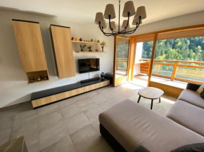 Charmant appart 2 ch + coin nuit, balcon sud, garage, près de La Clusaz et commerces, St Jean de Sixt - FR-1-459-195